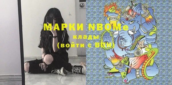 шишки Осташков