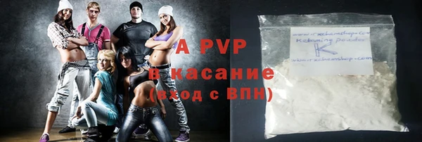 шишки Осташков