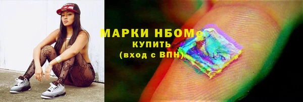 шишки Осташков