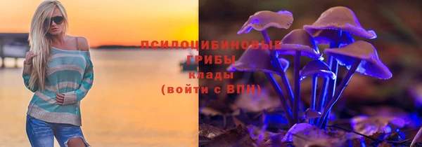 прущий лед Осинники