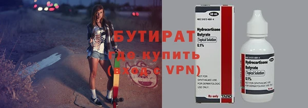 шишки Осташков