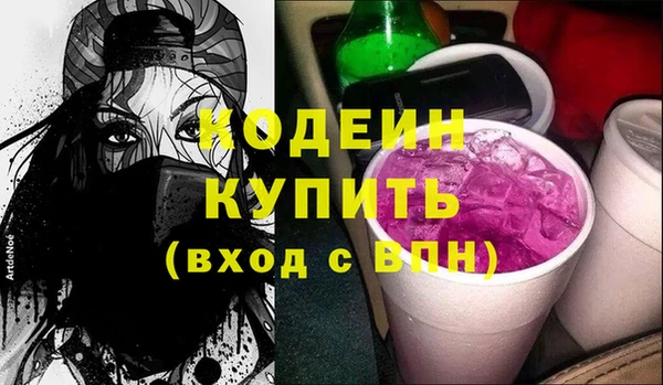 шишки Осташков