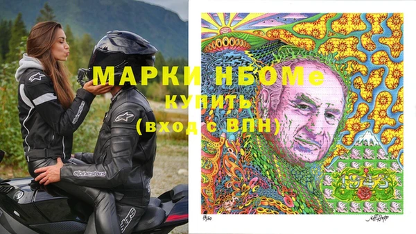 шишки Осташков