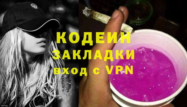 шишки Осташков