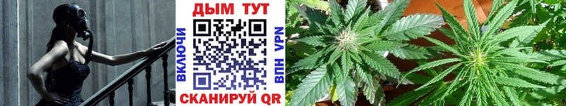 OMG рабочий сайт  Апшеронск  маркетплейс официальный сайт  Конопля SATIVA & INDICA 
